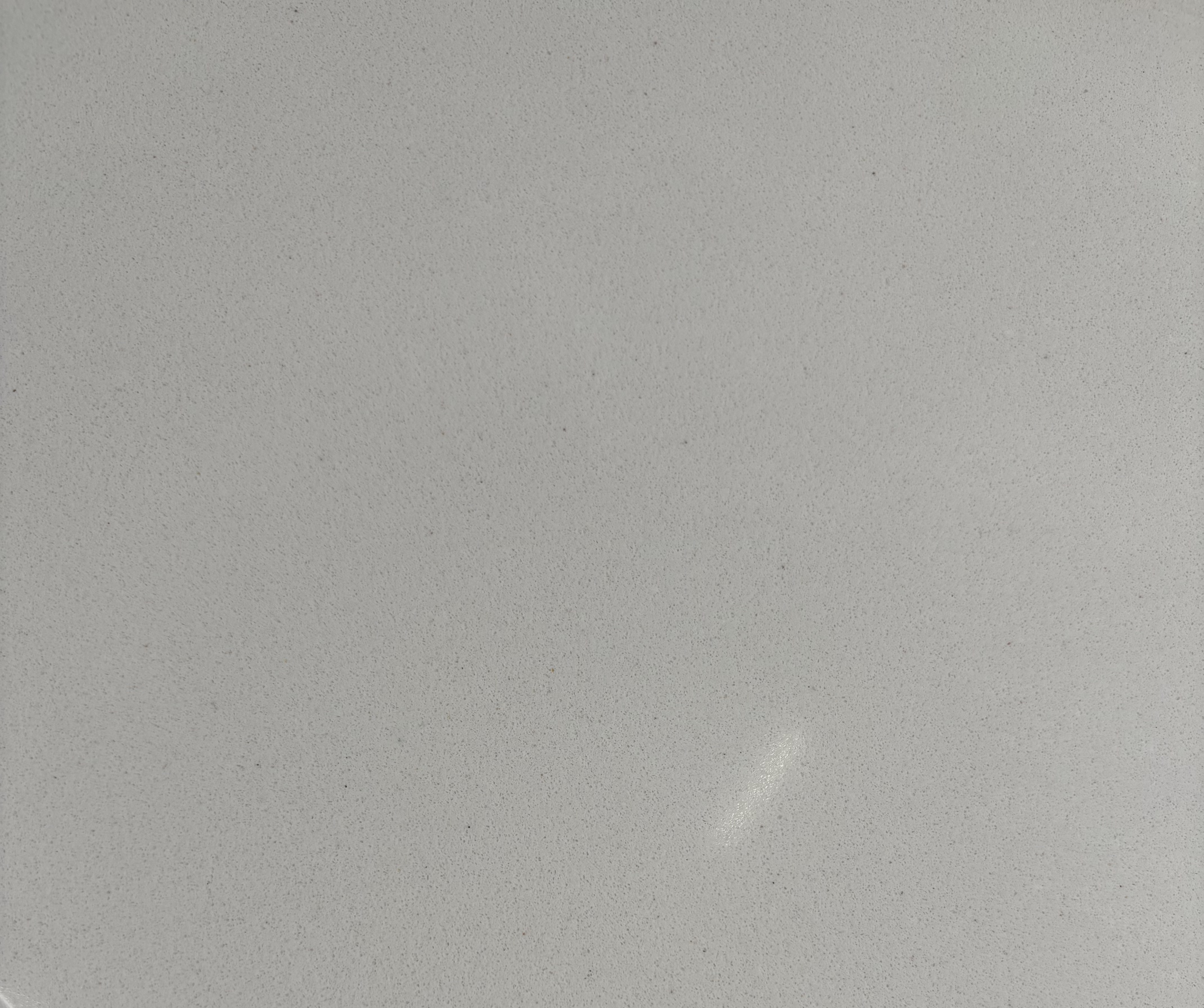Arctic White