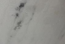 White Vitoria